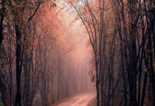 马德里竞技：烈焰燃烧，王者归来，豪取三分铸就辉煌！