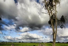 马德里竞技：烈焰燃烧，王者归来，豪取三分铸就辉煌！