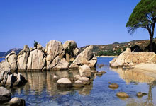 马德里竞技：烈焰燃烧，王者归来，豪取三分铸就辉煌！